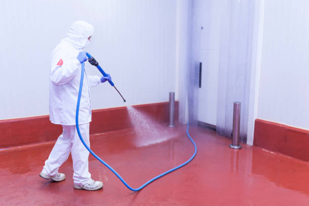 Best Sign and Awning Cleaning  in Campti, LA