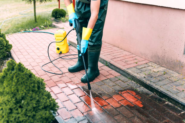 Best Driveway Pressure Washing  in Campti, LA